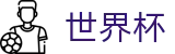 国际足联世界杯（中文）官网 - 世界杯波胆官方入口 · 买球新手教程